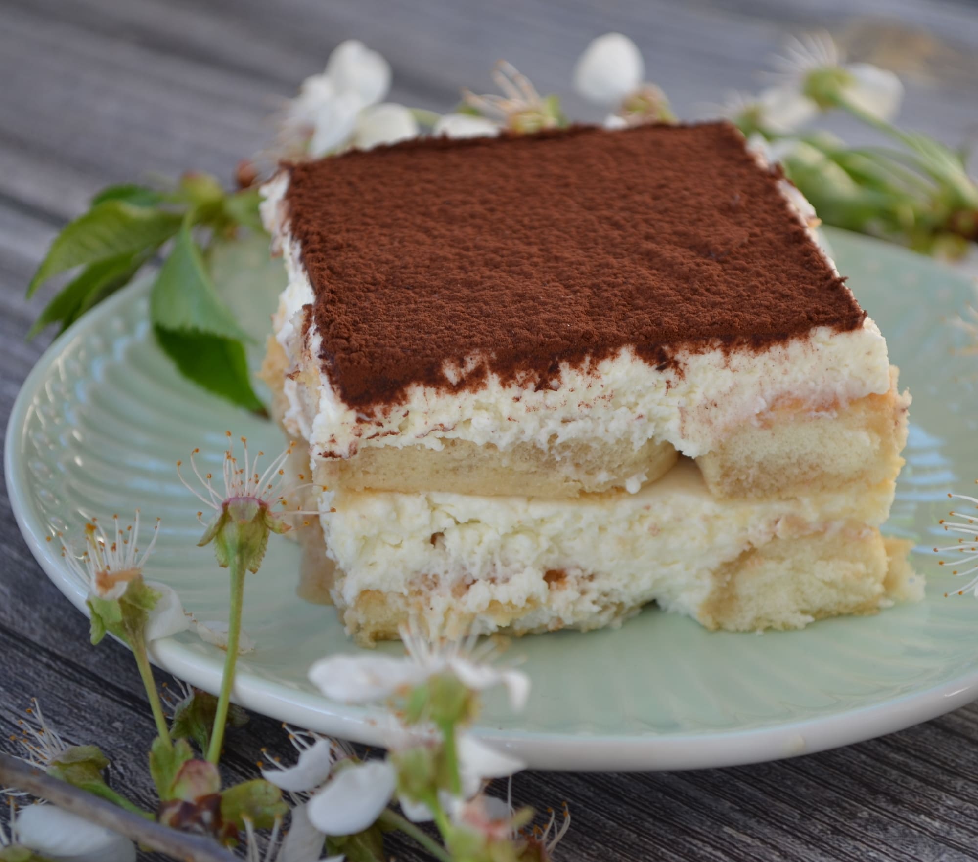 Detail tiramisu na řezu