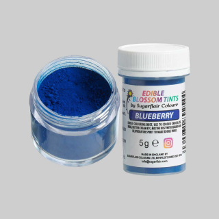 Prachová barva Blueberry borůvka Sugarflair